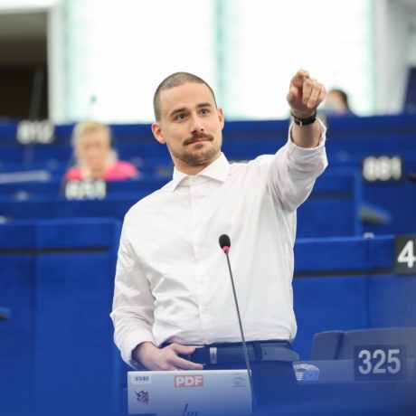 Website of the European Democrats The European Democratic Party Lukas <br>Sieper