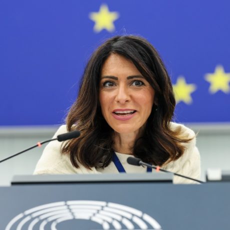 Website of the European Democrats The European Democratic Party Pina<br>Picierno